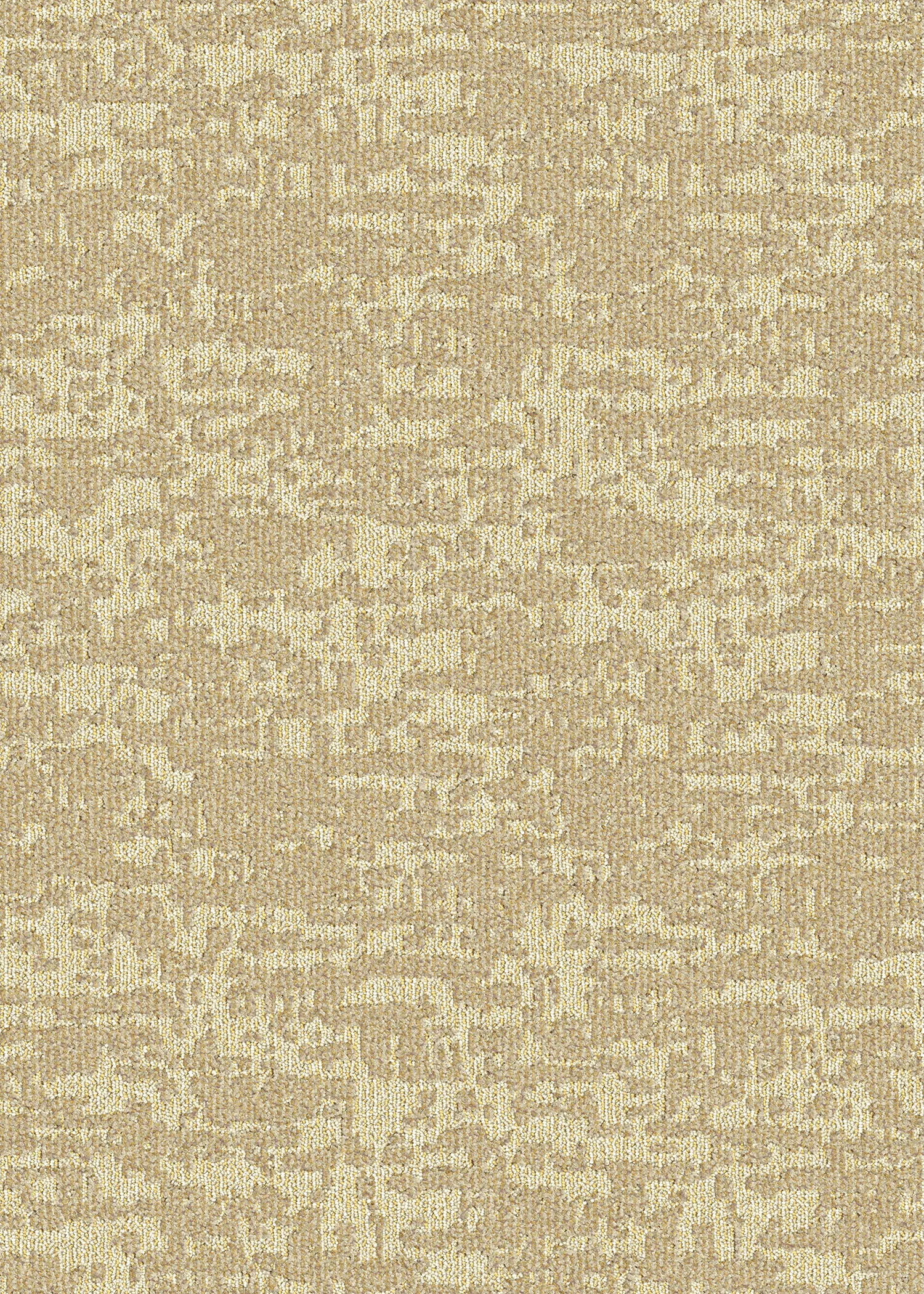 Wilde - Image 2