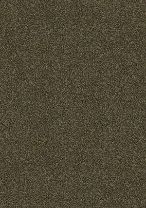 Hearth - Image 2