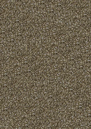 Maple - Image 2