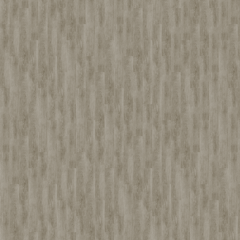 Serene Shifting Snad