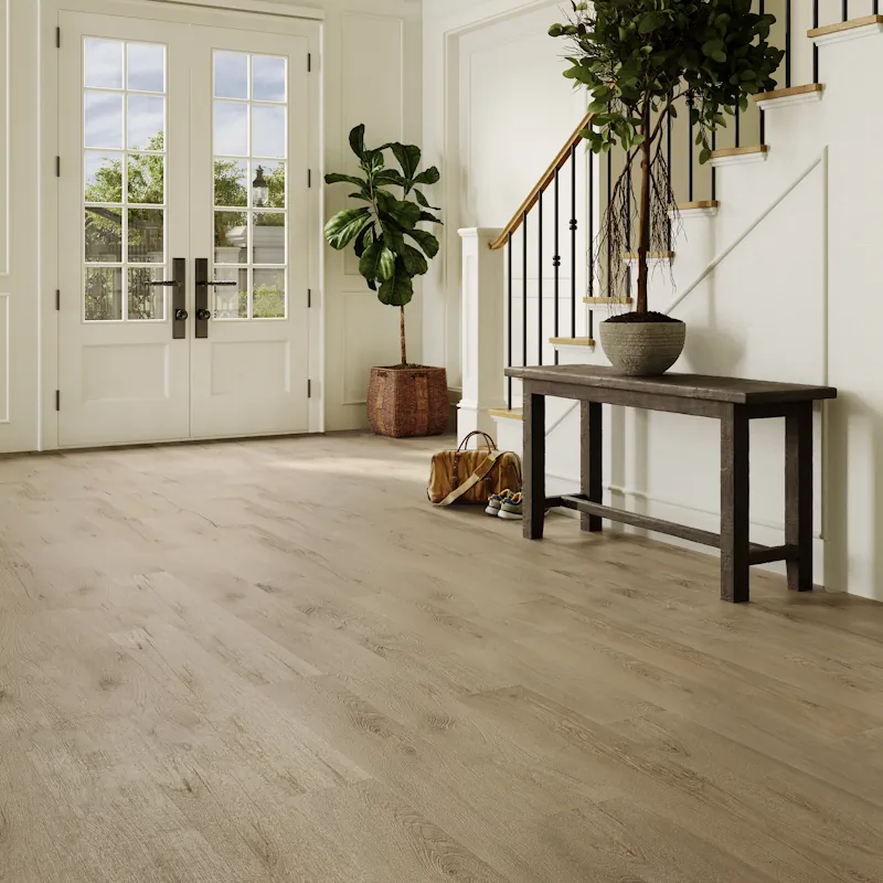 Proto Oak