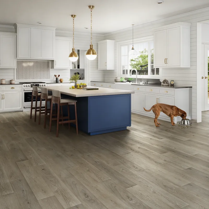 Blackjack Oak