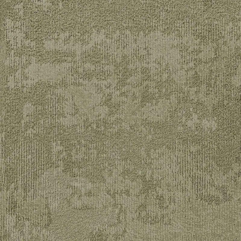 Borderline Beige - Image 2