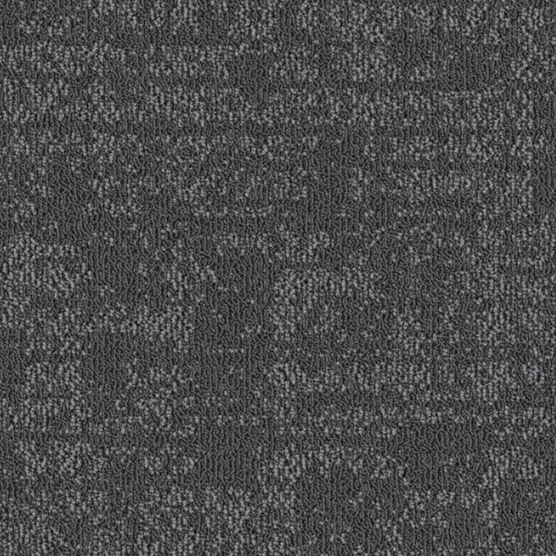 Carbon - Image 3