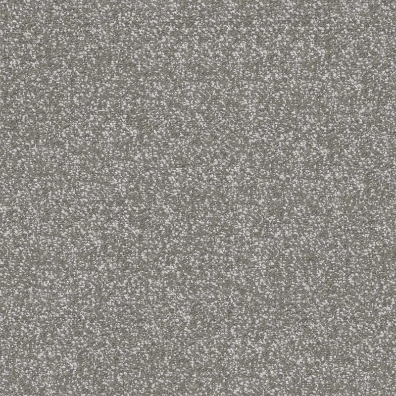 Fossil - Image 2