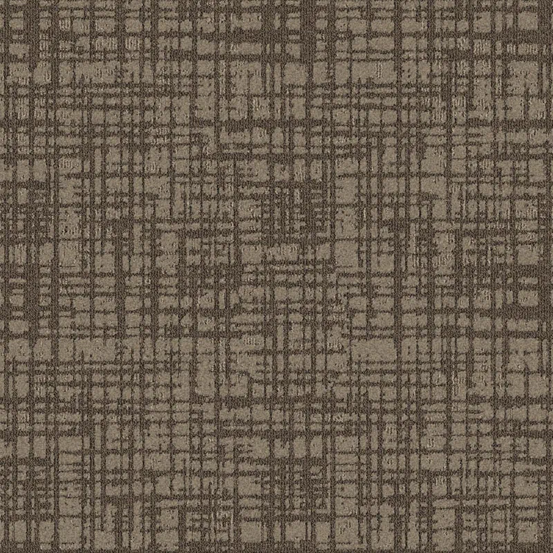 Bark