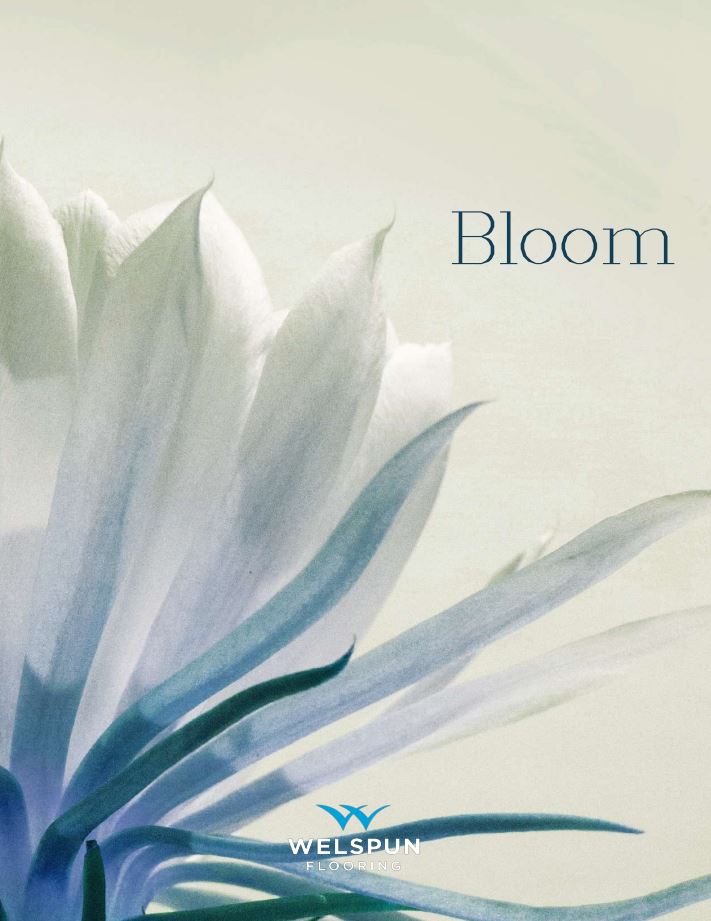 Bloom