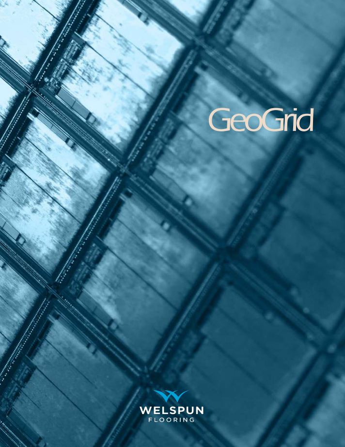 Geogrid