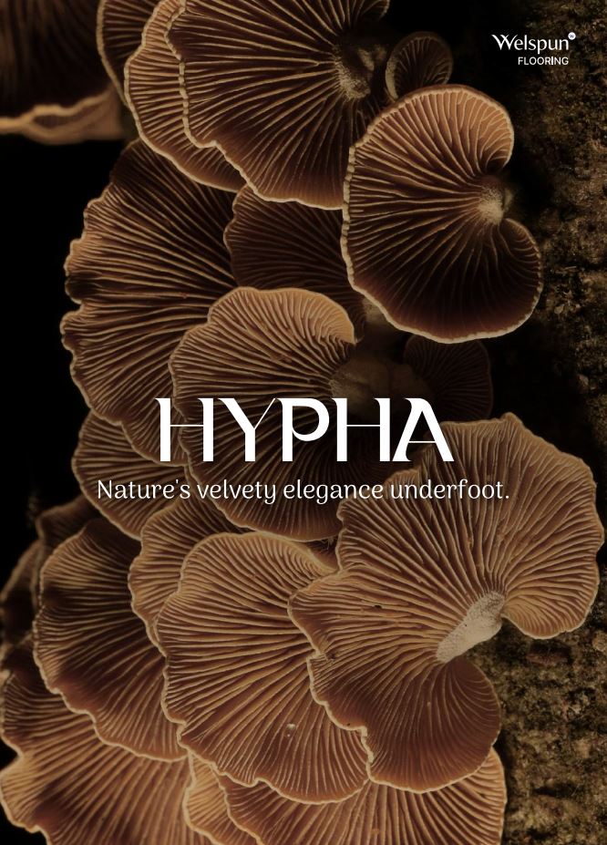 Hypha
