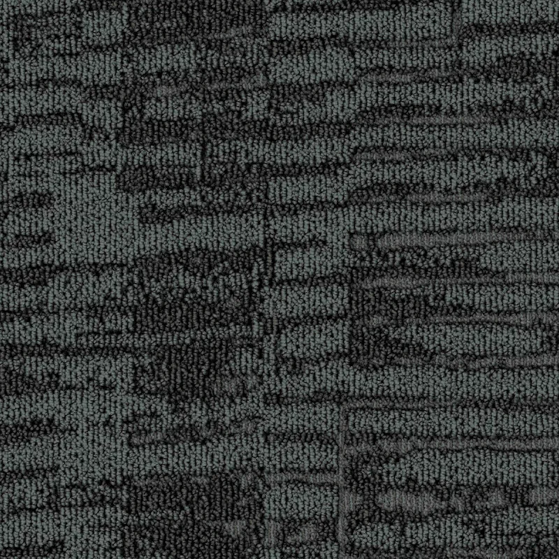 Noe - Image 7