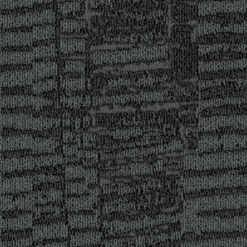 Noe - Image 8