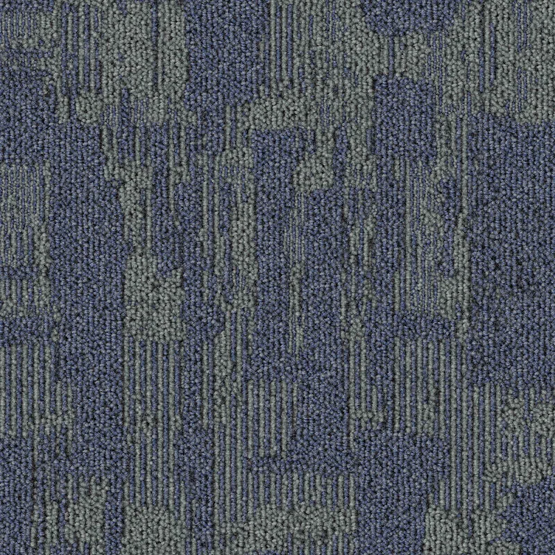 Nolona - Image 3